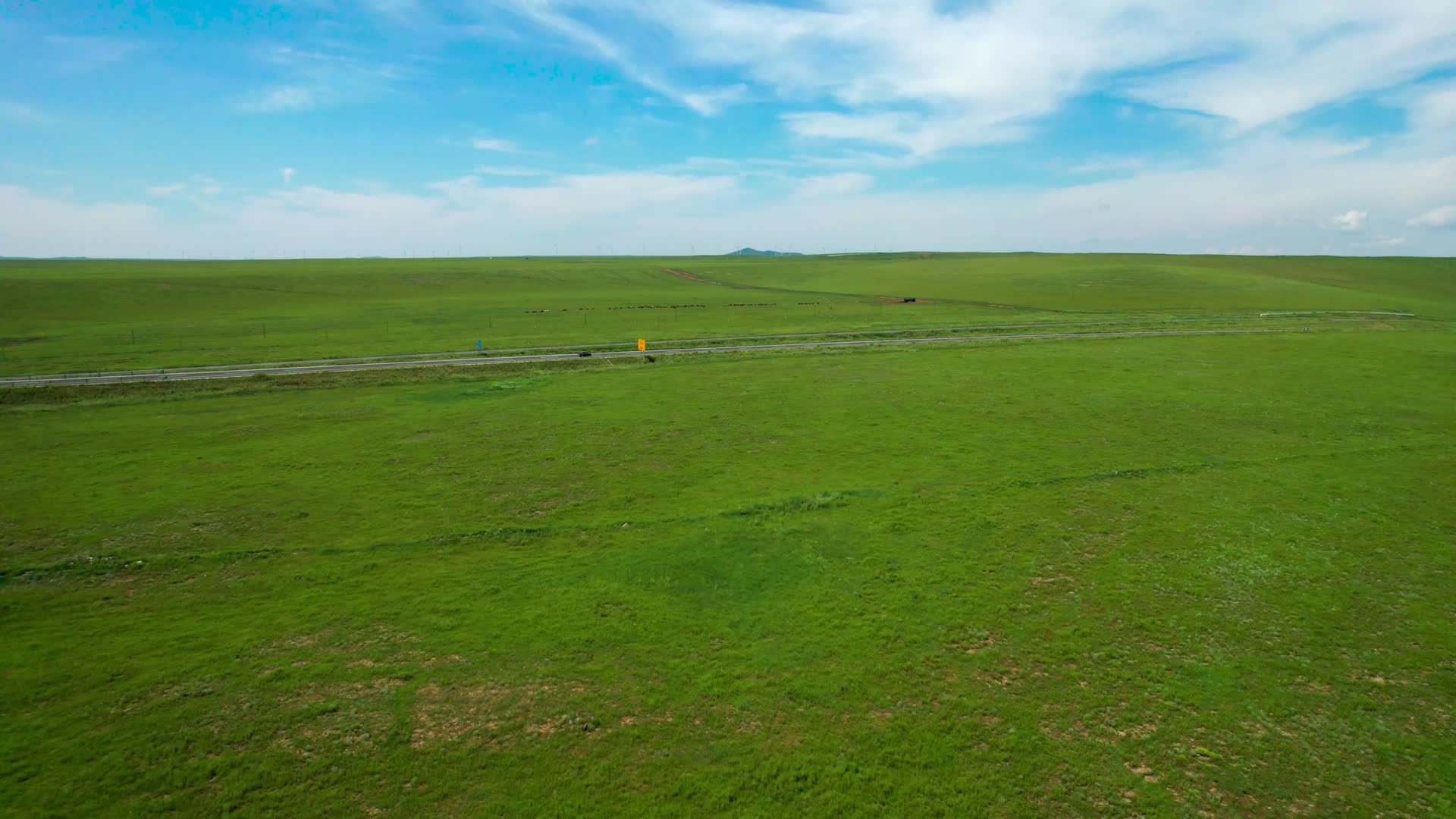 内蒙古锡林郭勒及草原上散落的牛群与公路5k航拍视频视频的预览图