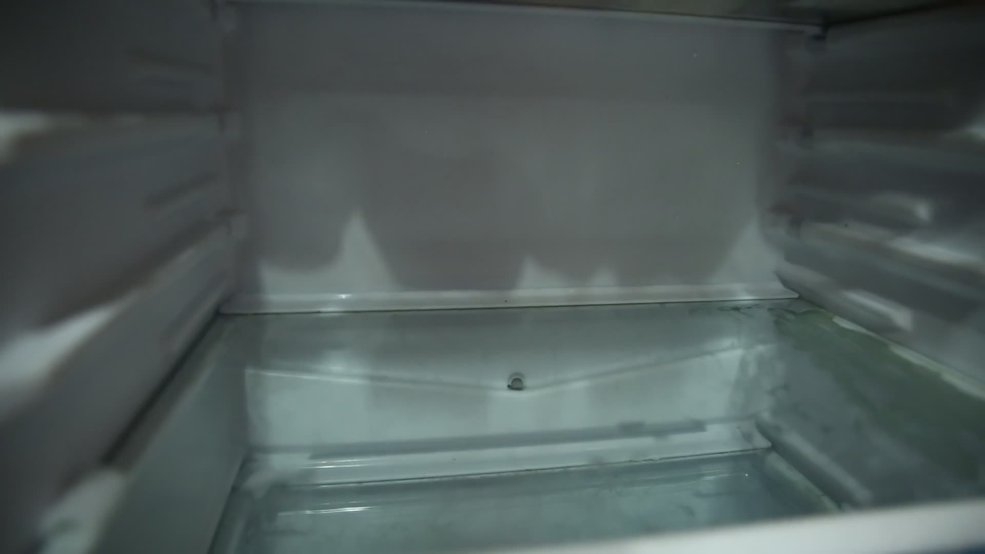 冰箱里的鸡蛋视频的预览图