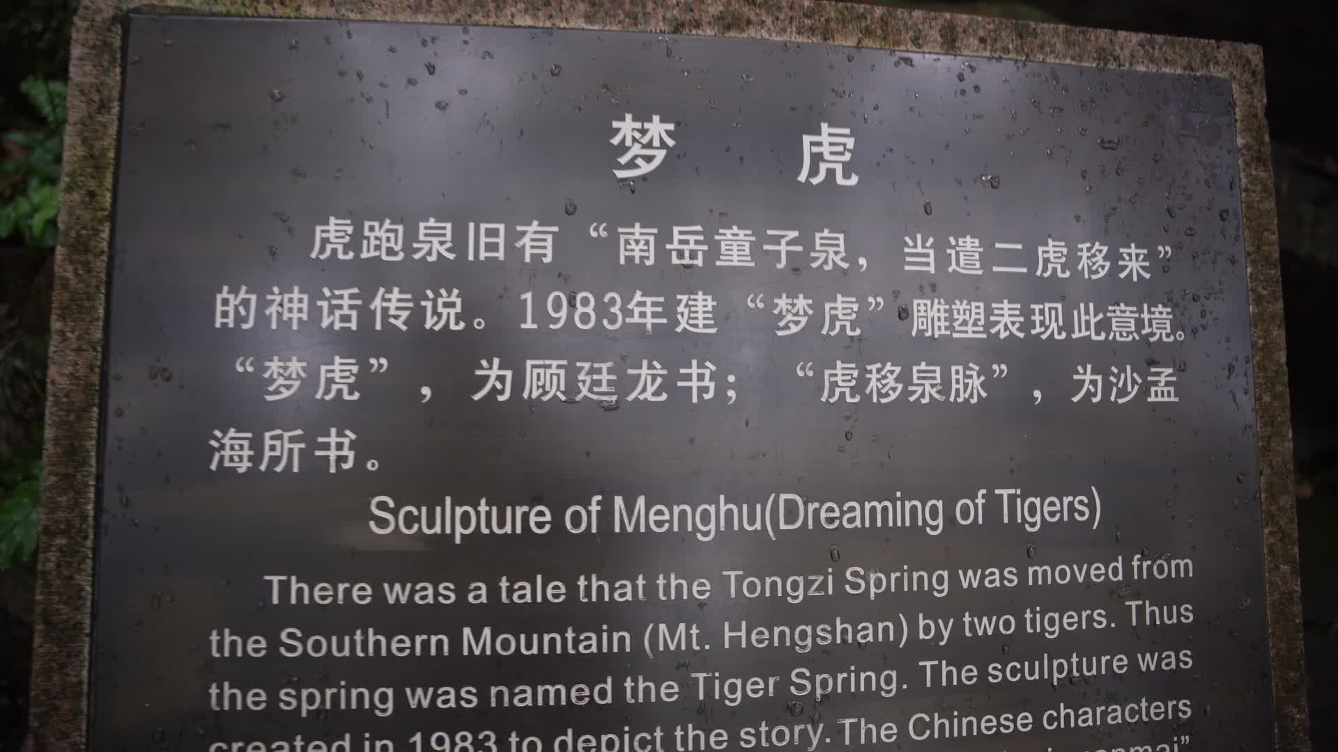 杭州西湖虎跑公园梦虎4K视频视频的预览图