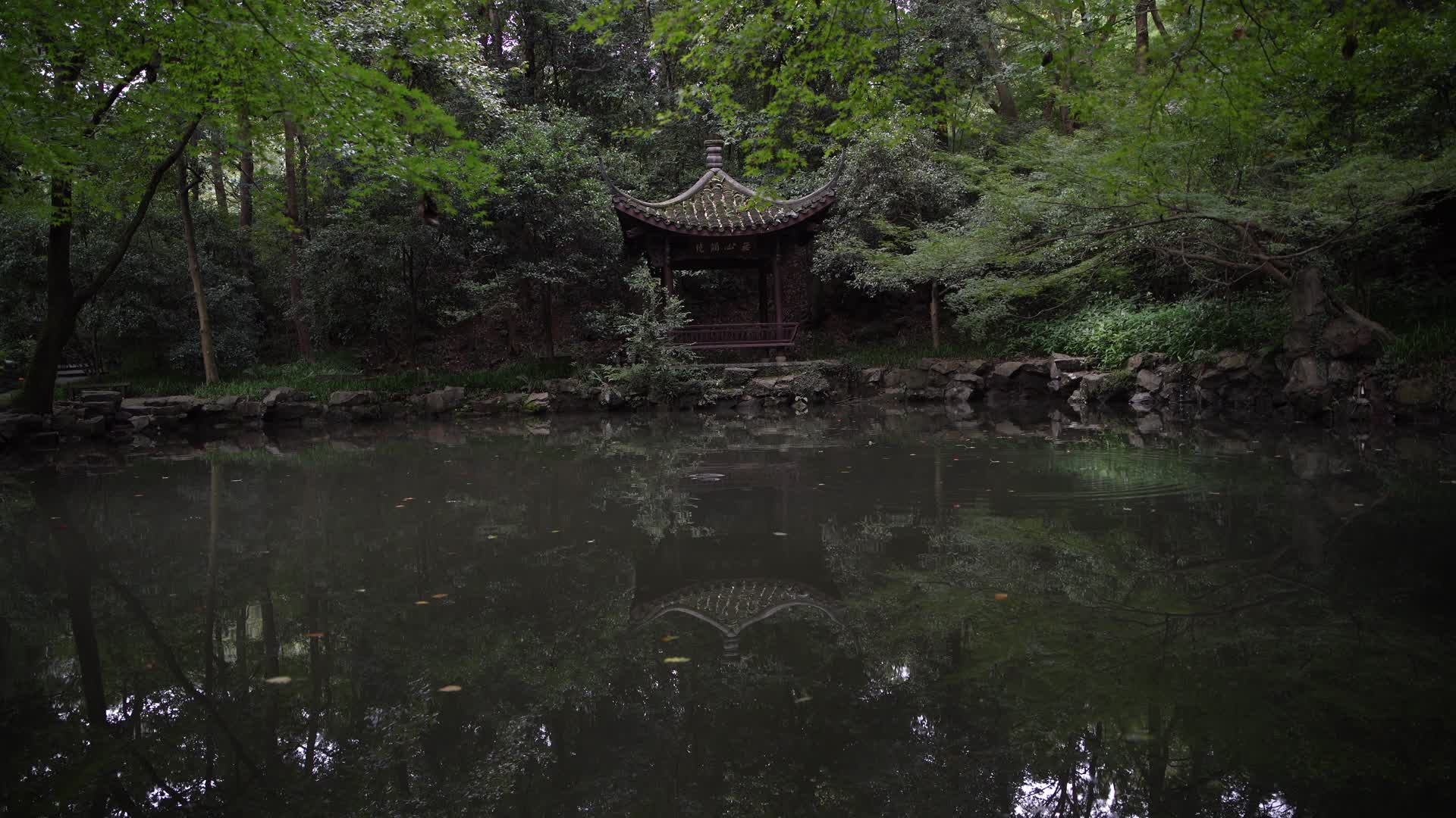 杭州西湖虎跑公园玉带池4K视频视频的预览图