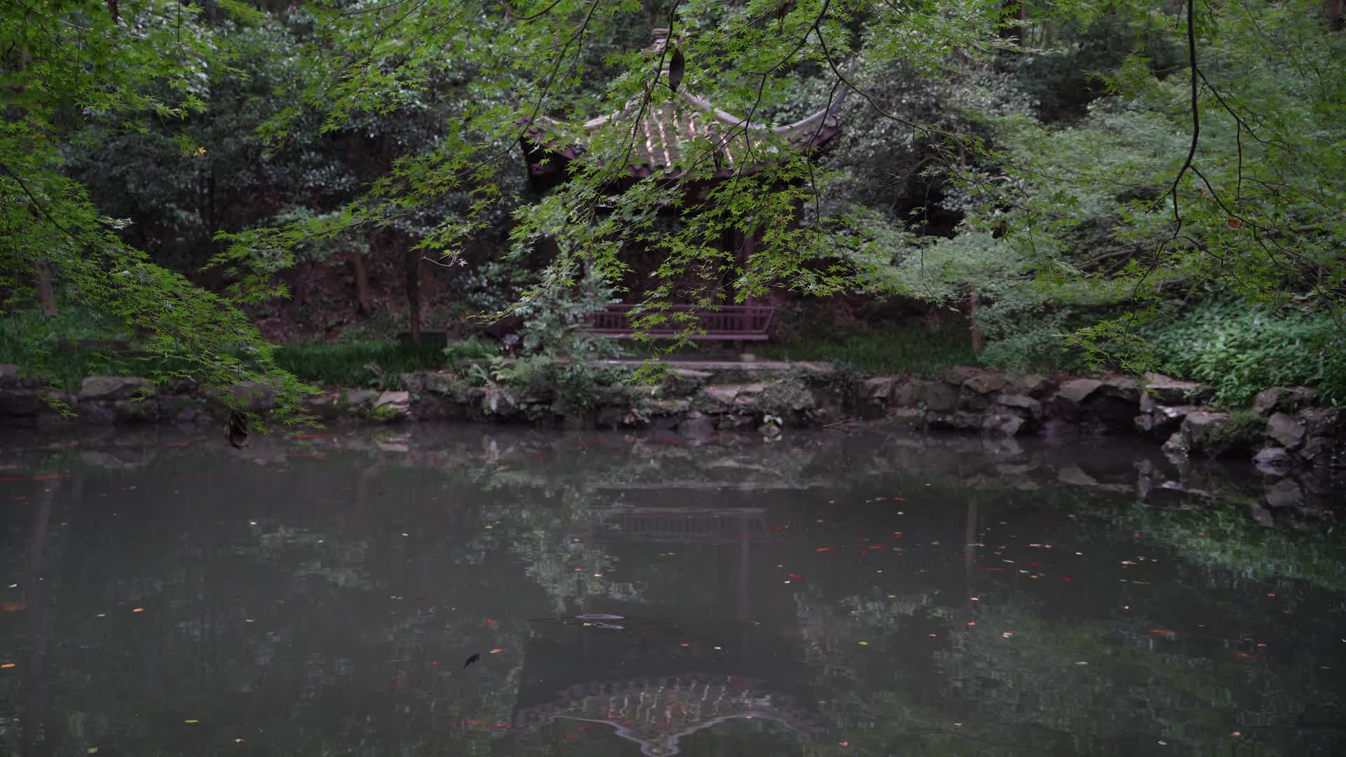 杭州西湖虎跑公园玉带池4K视频视频的预览图