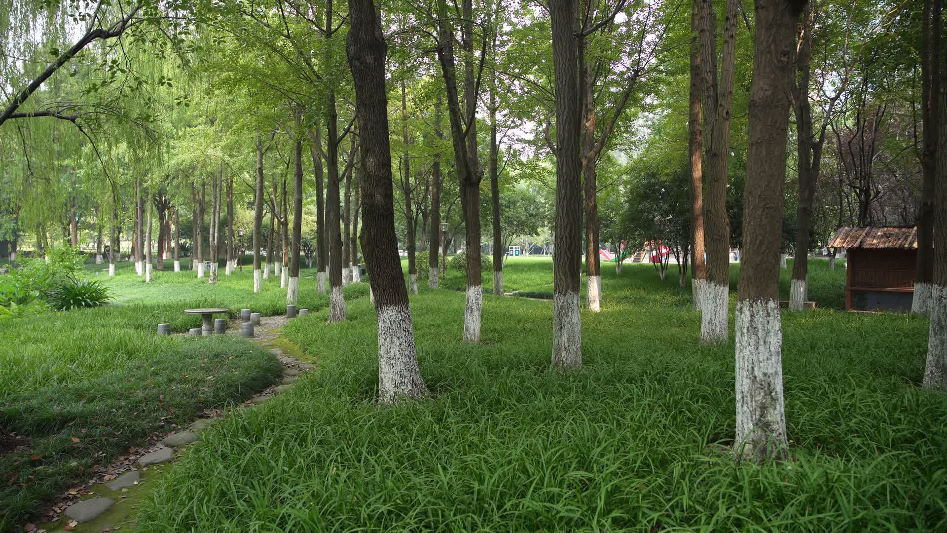 杭州江干区世纪花园4K视频视频的预览图