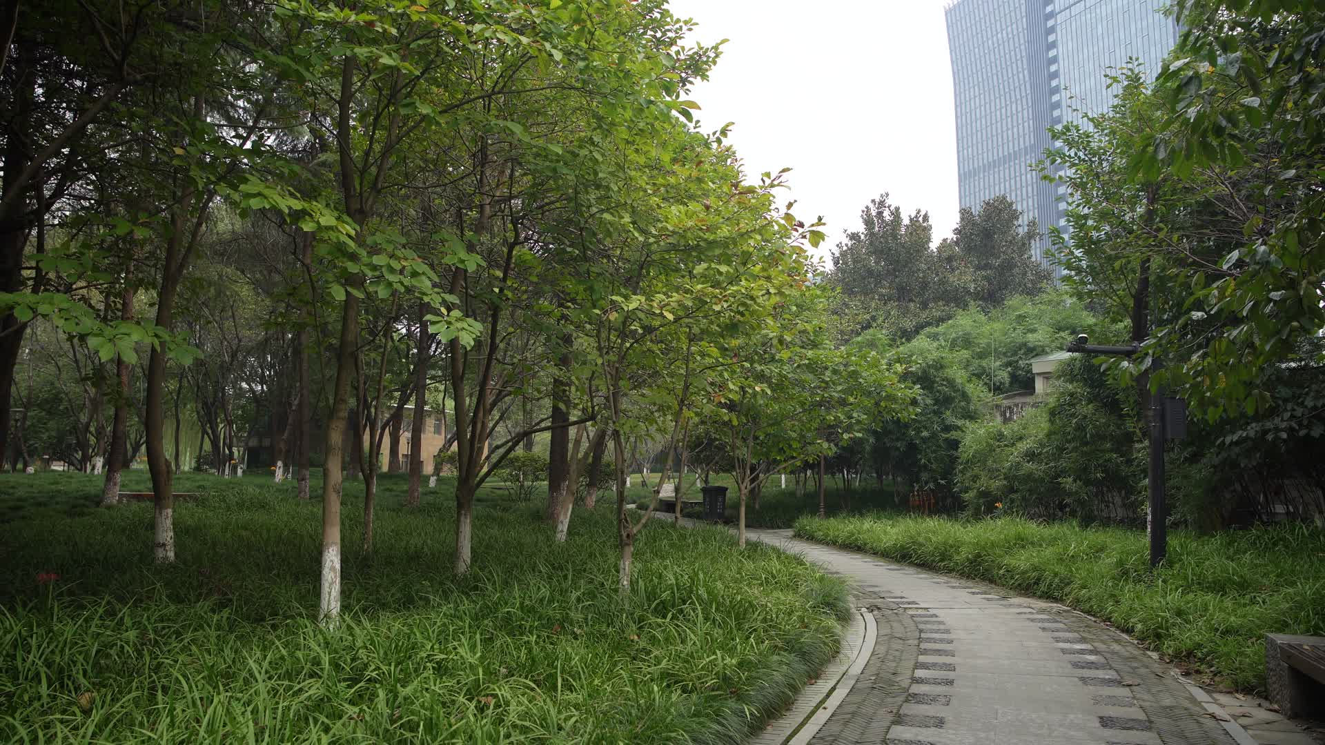 杭州江干区世纪花园4K视频视频的预览图