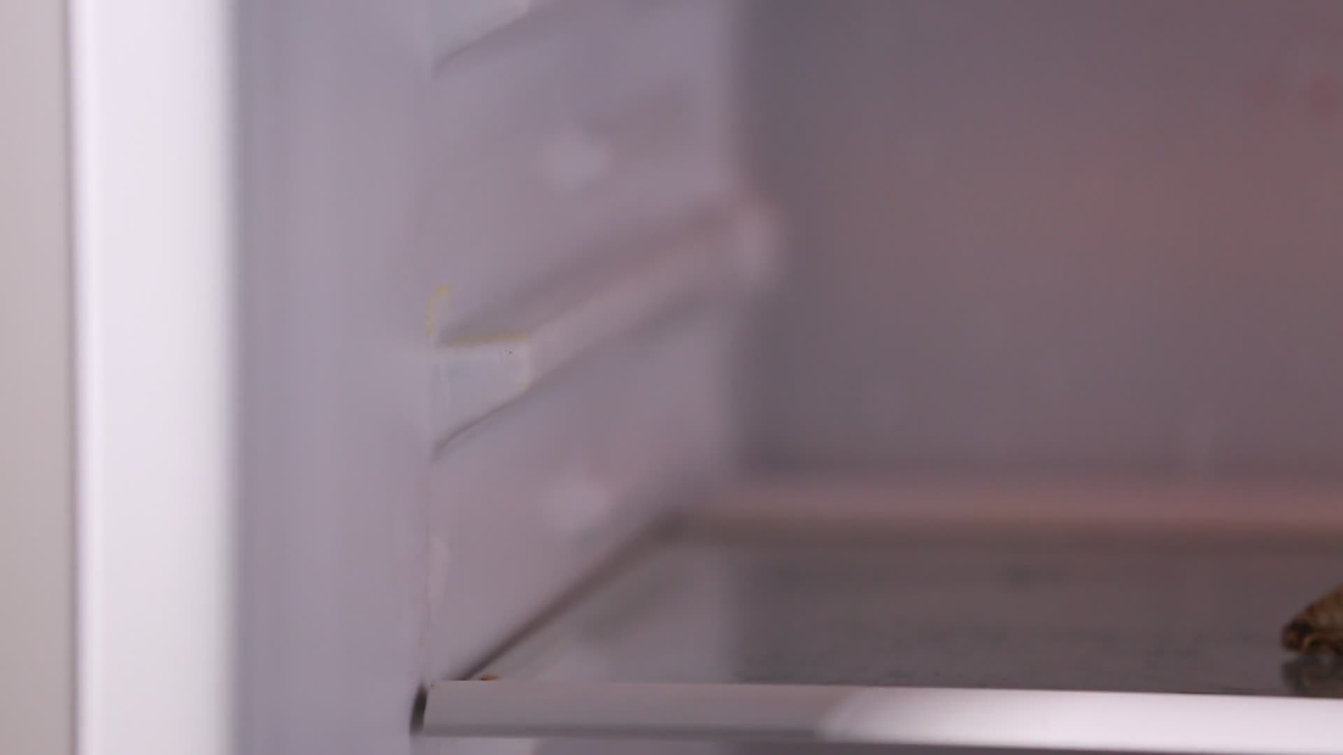 冰箱冷藏储存粽子视频的预览图