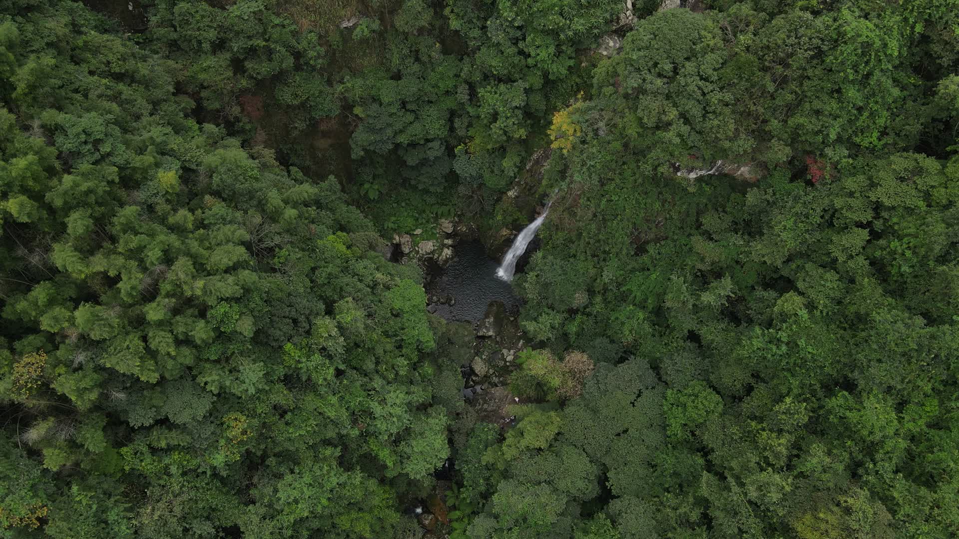 福建山脉森林林场航拍视频的预览图