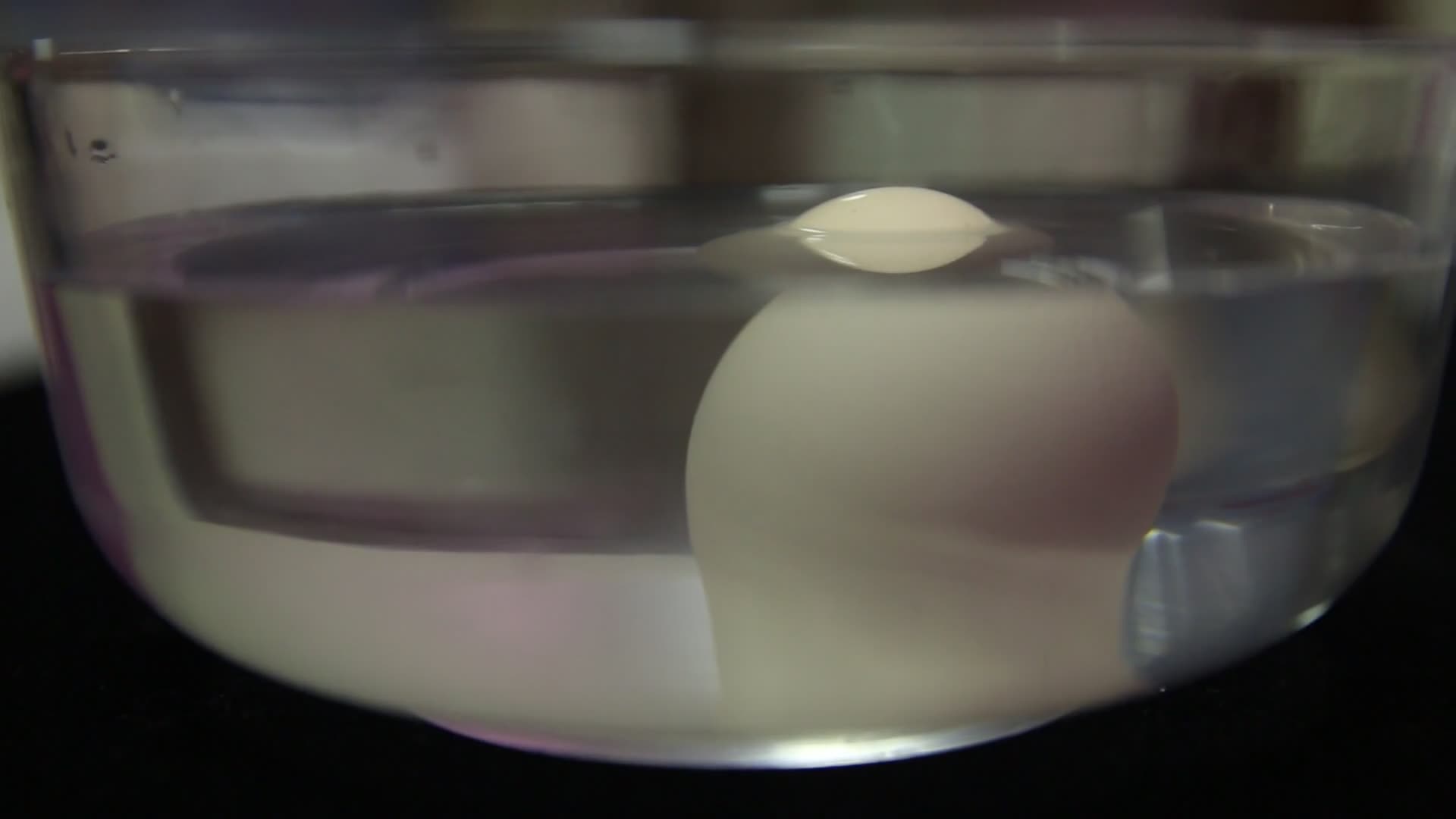 水洗鸡蛋表面视频的预览图