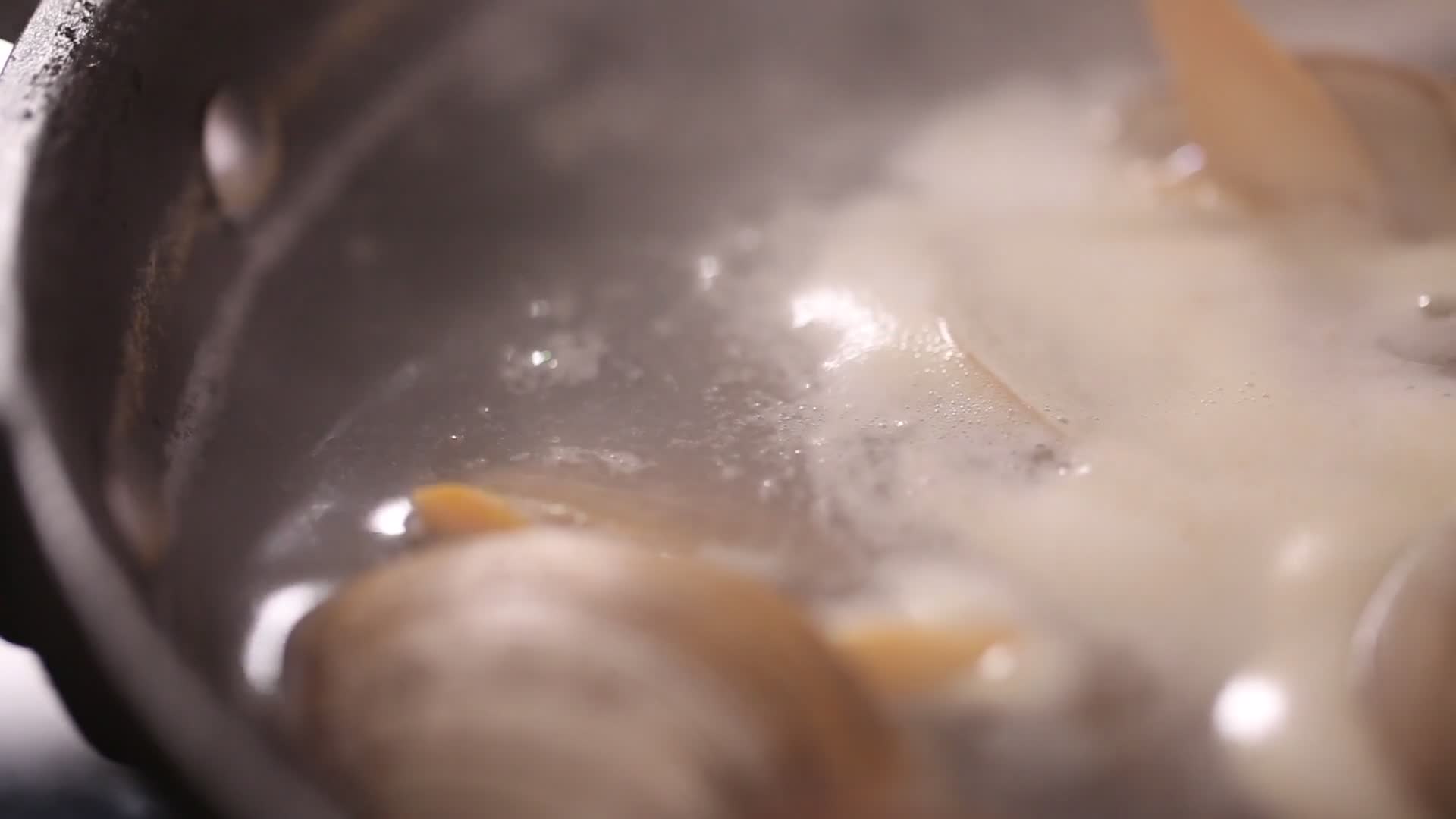 清水煮花蛤文蛤去腥视频的预览图
