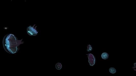 超宽屏全息水母视频的预览图