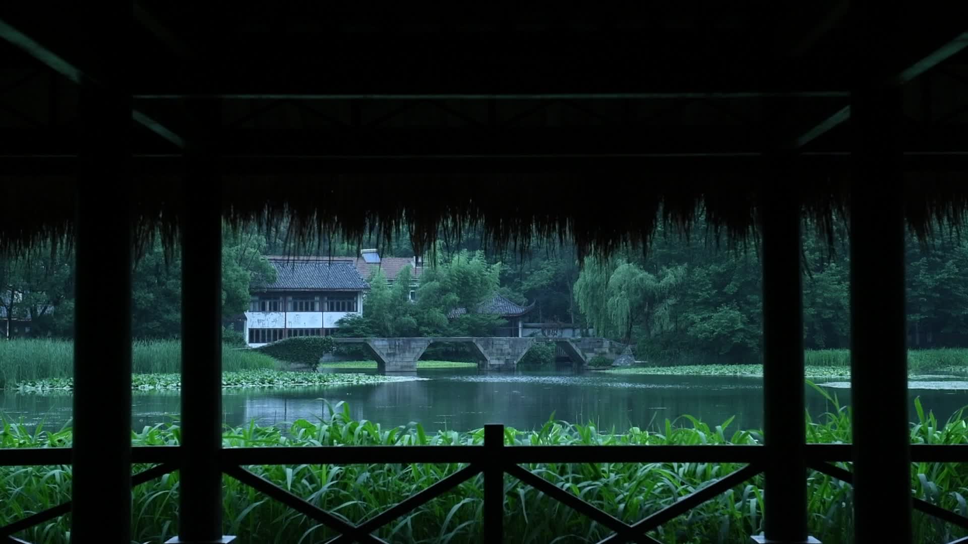 杭州西湖风景区乌龟潭视频视频的预览图