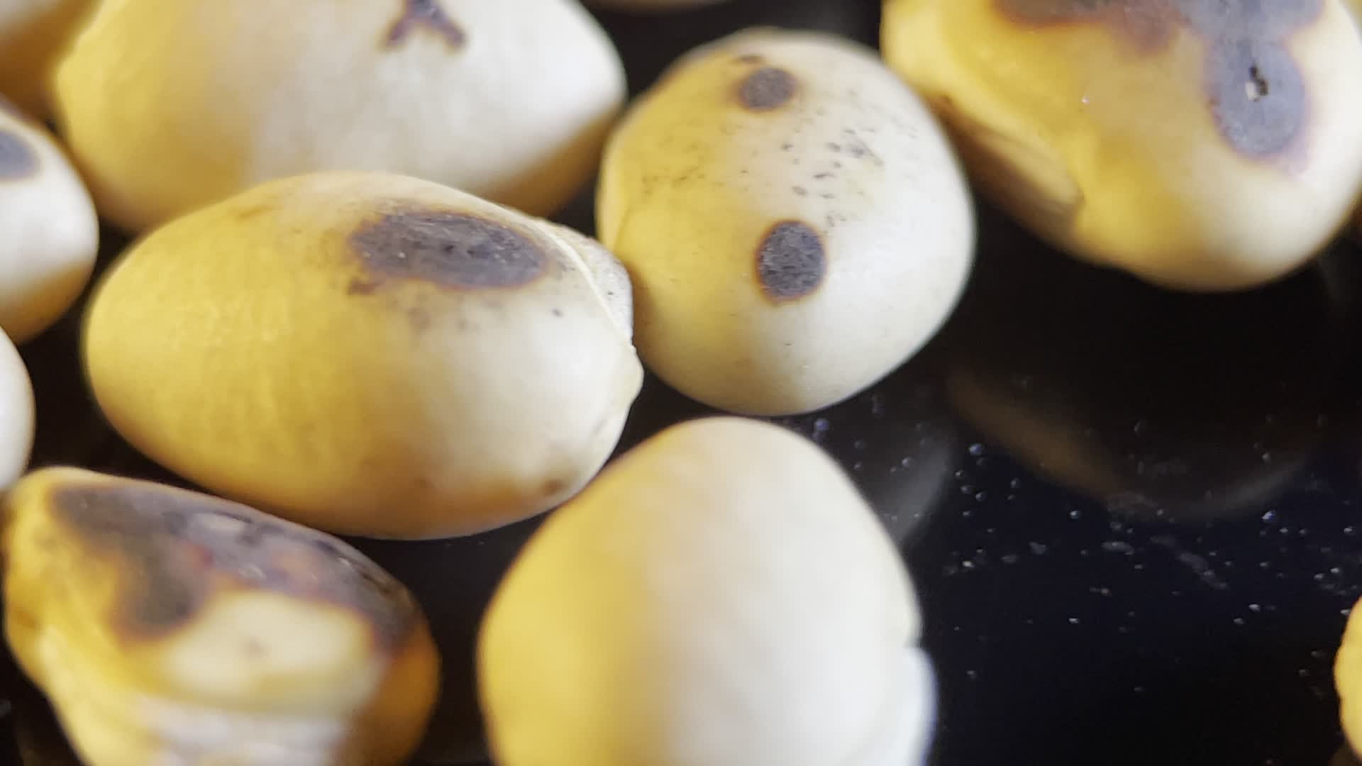 微距4k白扁豆视频的预览图