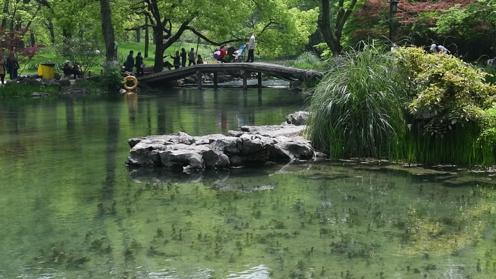 杭州西湖风景区太子湾公园视频视频的预览图