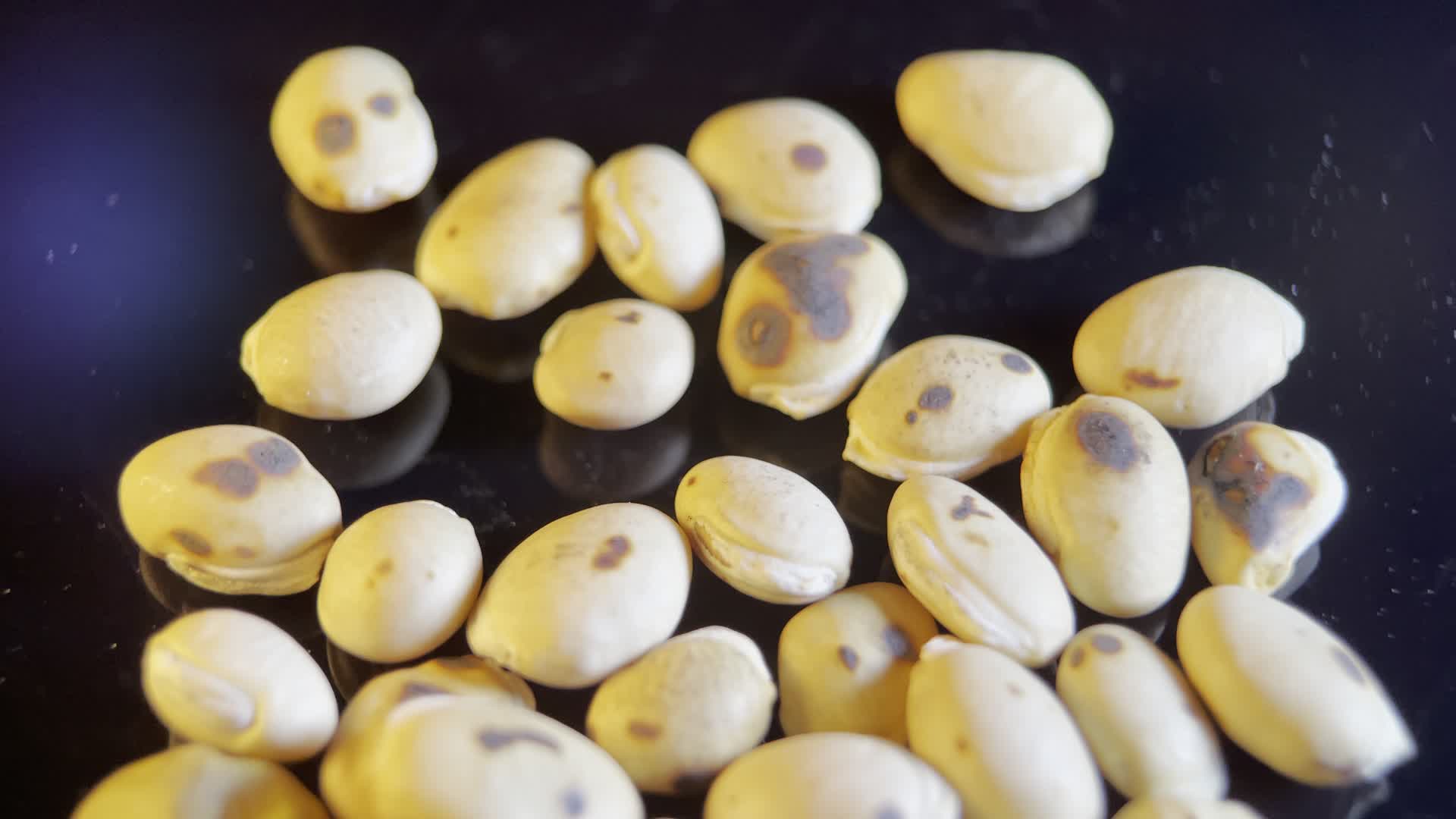 特写利水白扁豆4k视频的预览图