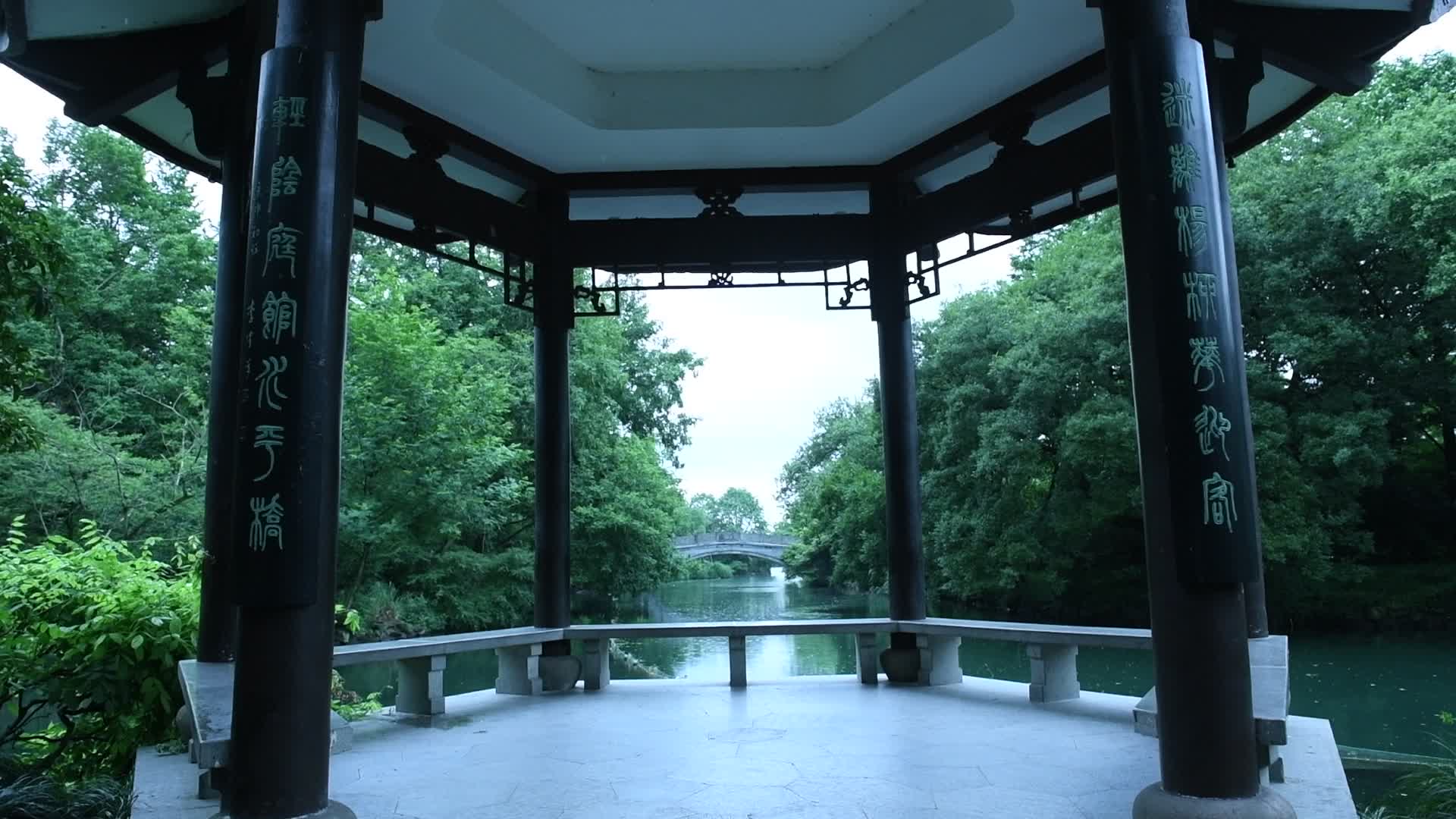杭州西湖风景区花港观鱼视频视频的预览图
