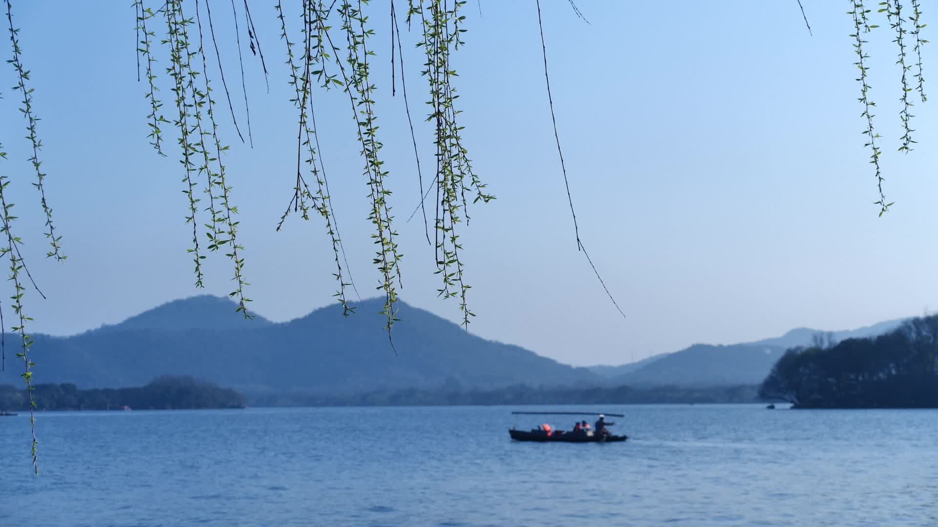 杭州西湖风景区苏堤风景视频视频的预览图