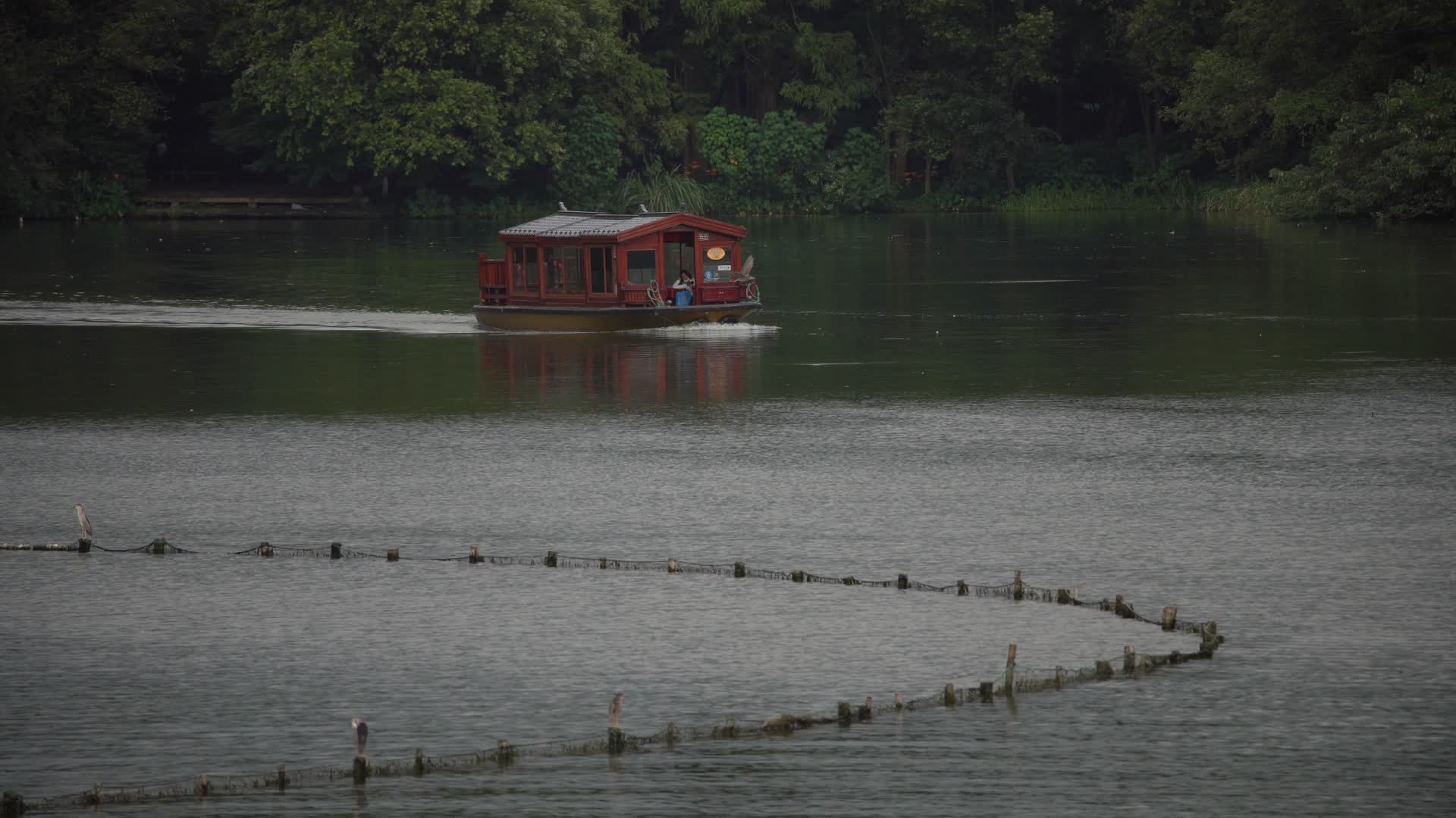 杭州西湖风景区茅家埠风景视频视频的预览图
