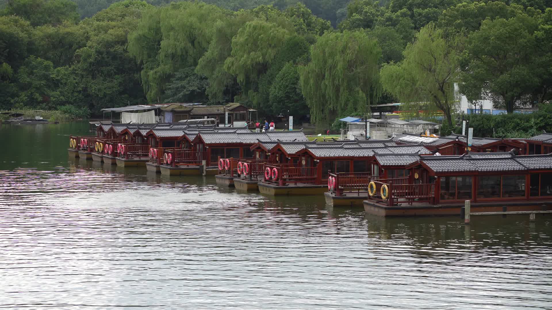杭州西湖风景区茅家埠风景视频视频的预览图