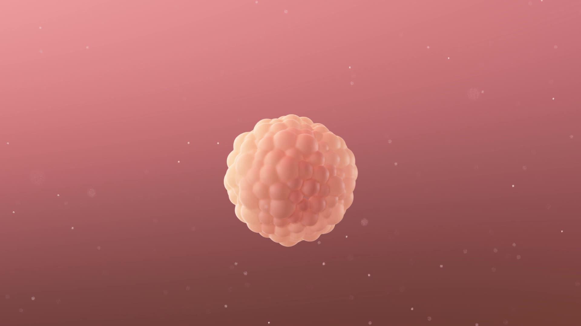 生命延续胎儿发育生长动画视频的预览图
