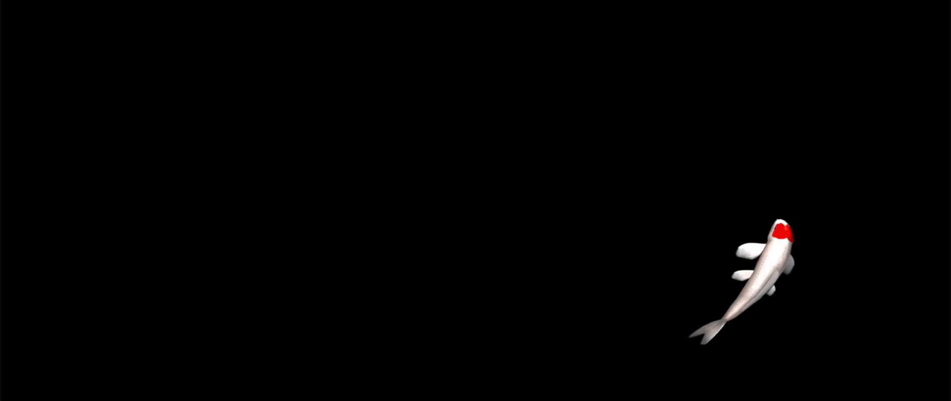 透明通道宽屏锦鲤视频的预览图
