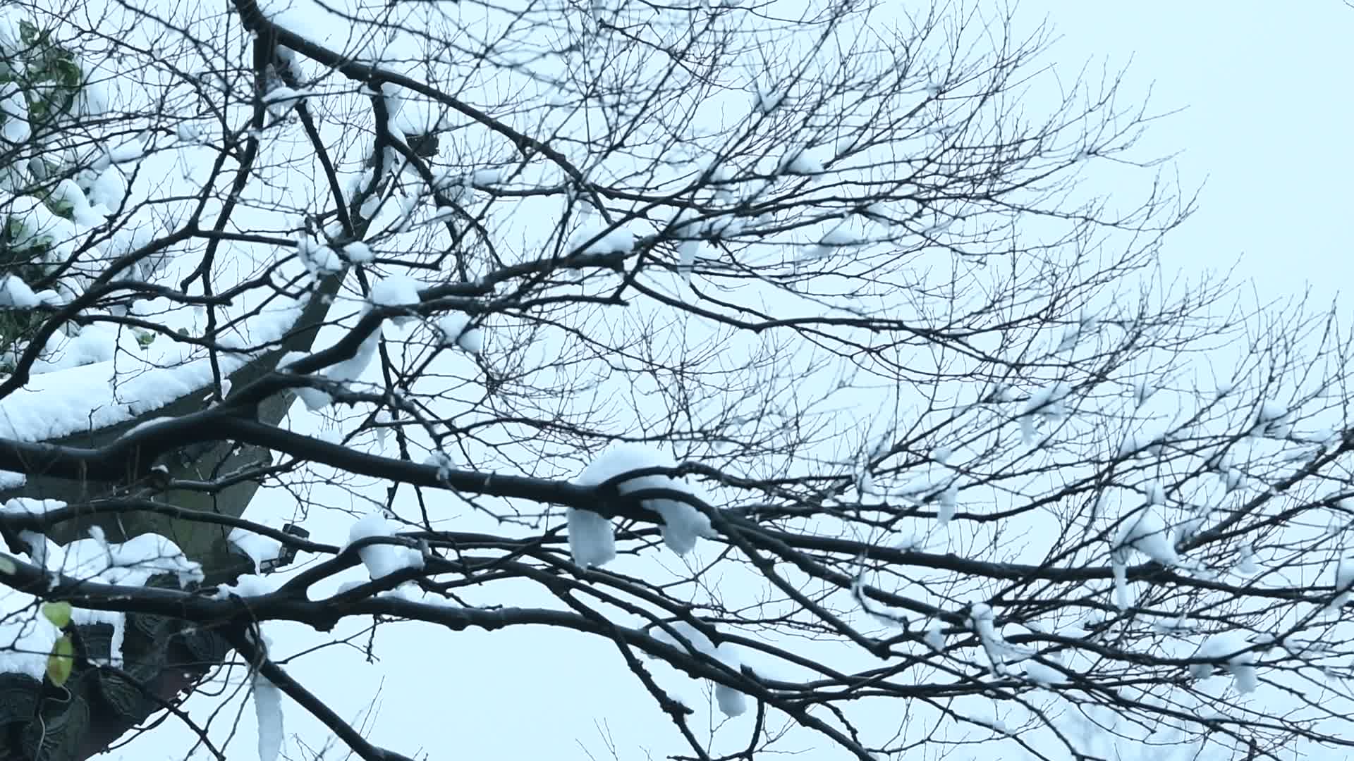 杭州雪后白茫茫的西湖视频视频的预览图