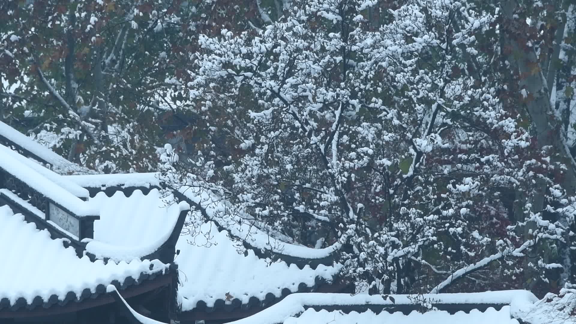 杭州雪后白茫茫的西湖视频视频的预览图