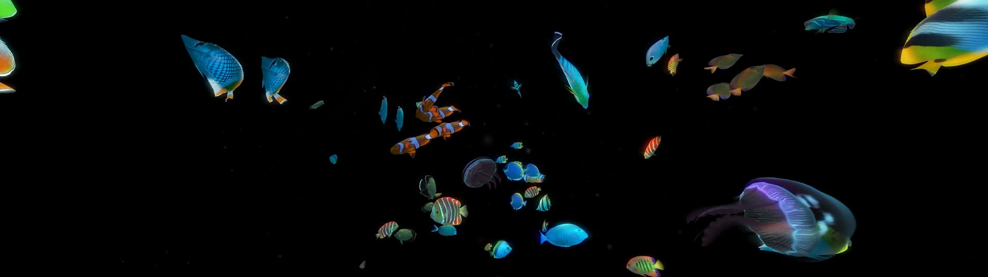 宽屏海底世界全息天幕视频的预览图