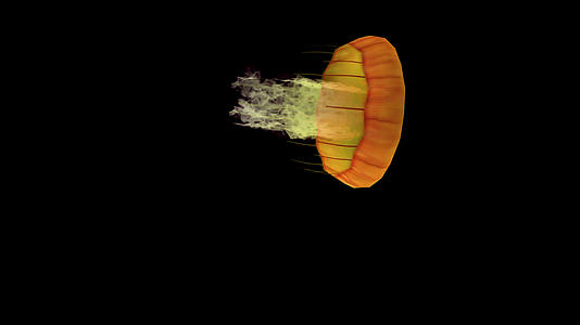 带透明通道水母视频的预览图