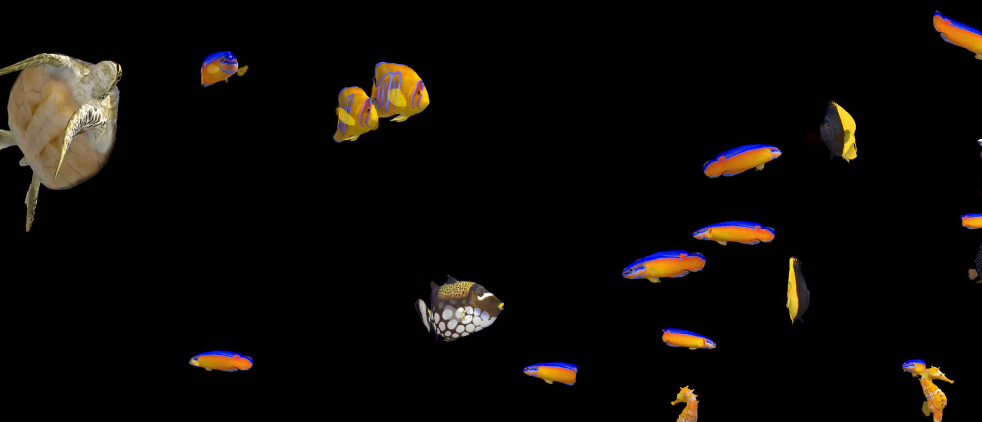 全息投影海底世界鱼类视频的预览图