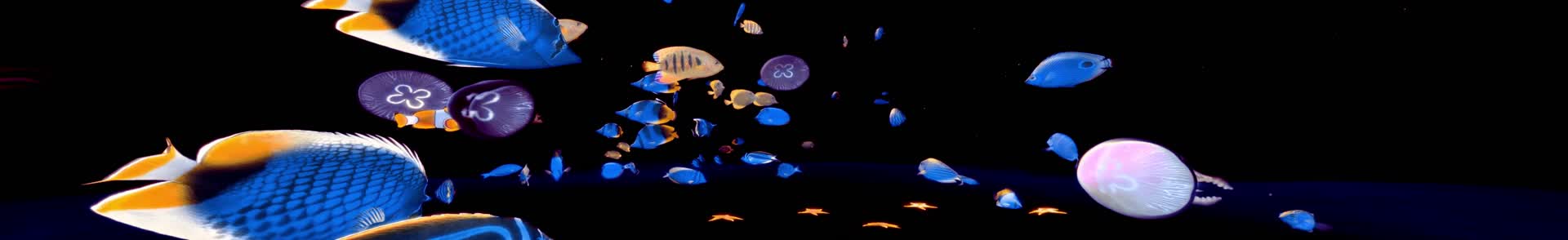 超宽屏全息沉浸海底世界视频的预览图