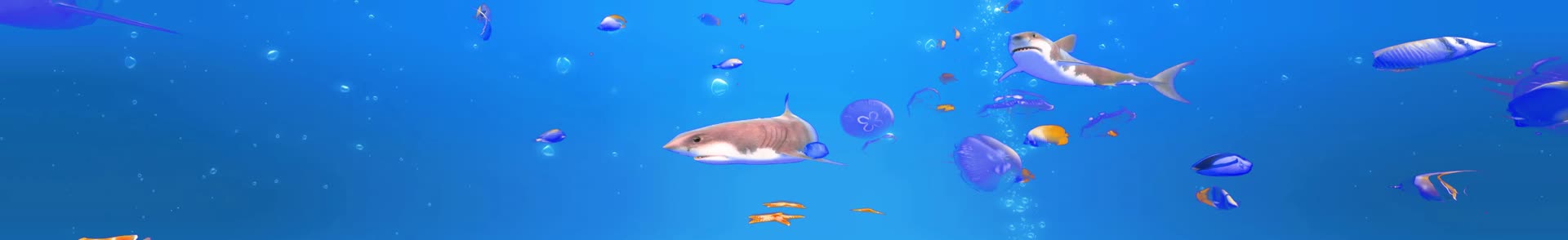 超宽屏惊险海底世界视频的预览图