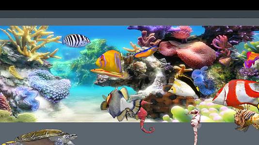 裸眼3D海底世界鱼缸视频的预览图