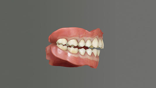 牙科动画牙齿咀嚼视频的预览图