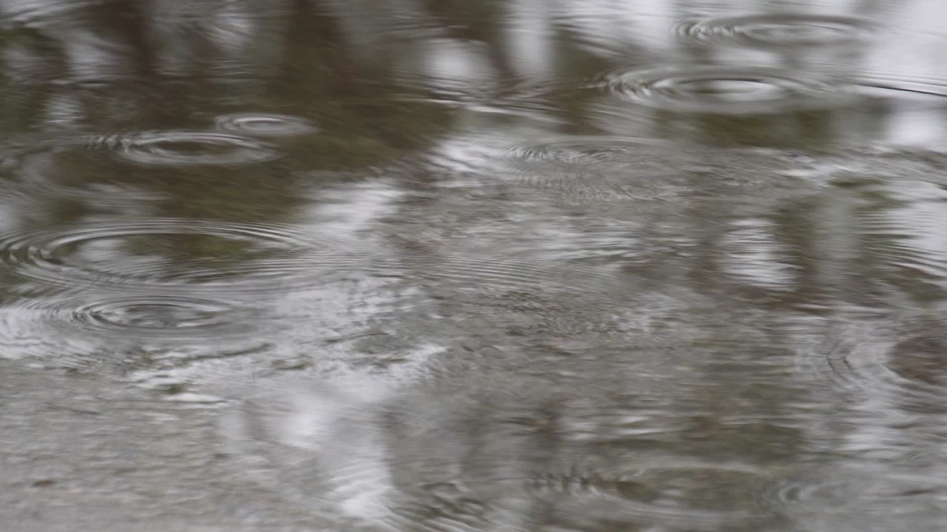 下雨积水水中倒影视频的预览图