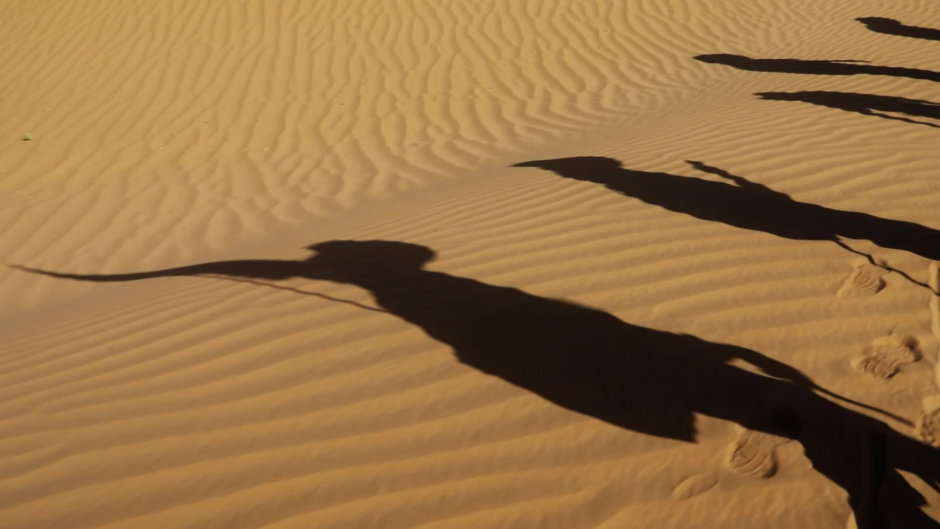 沙漠影子视频的预览图