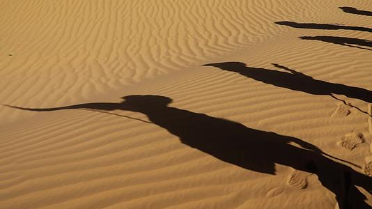 沙漠影子视频的预览图