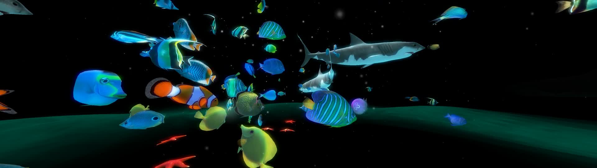 超宽屏海底世界鲨鱼群视频的预览图