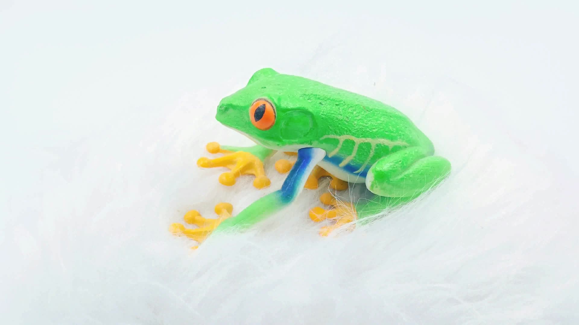 树蛙青蛙模型玩具视频的预览图