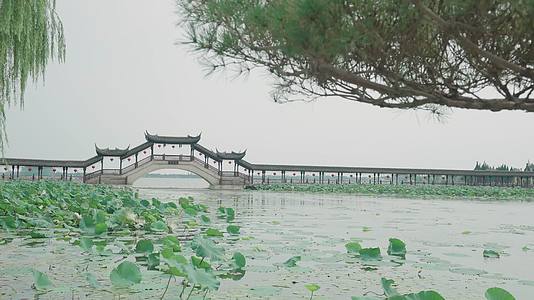 4K江南古镇锦溪地标古莲桥视频的预览图
