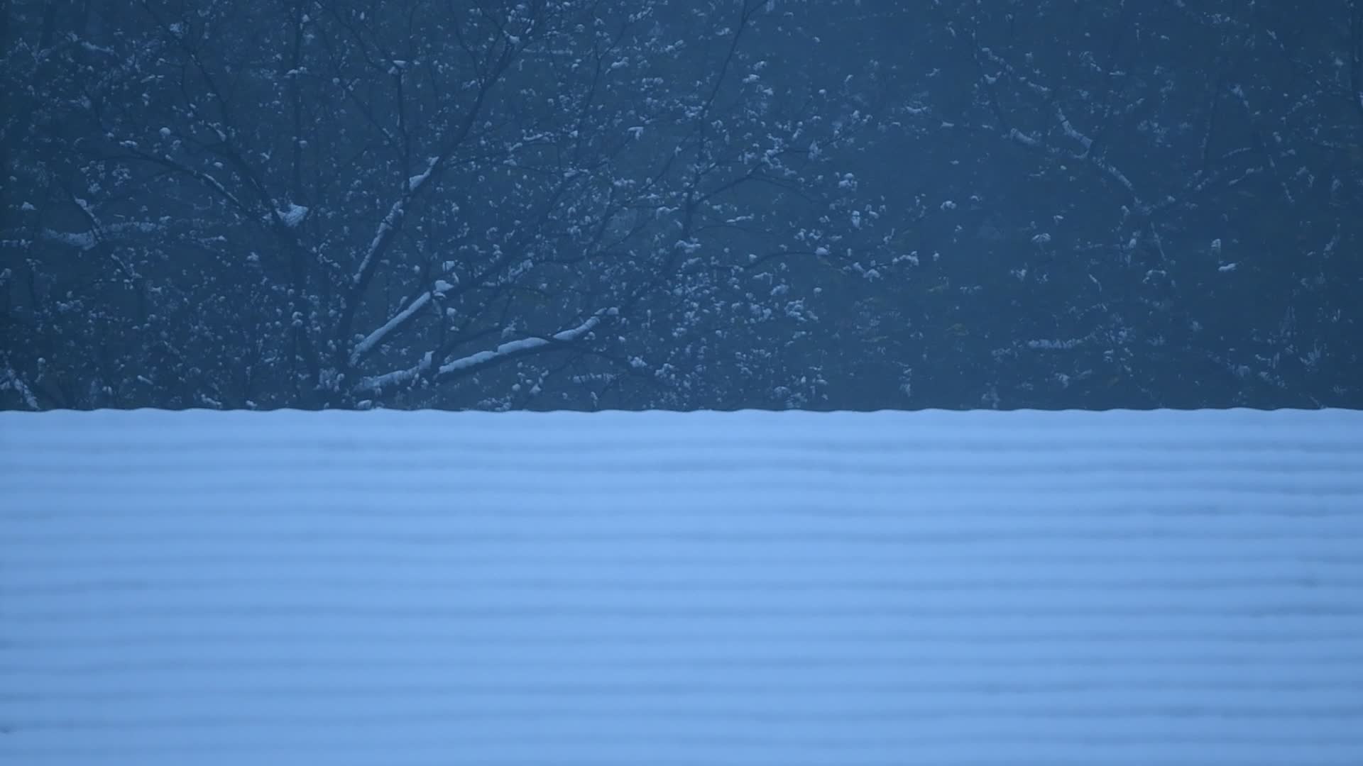 杭州西湖风景区净慈寺纯白雪景禅院风景视频视频的预览图