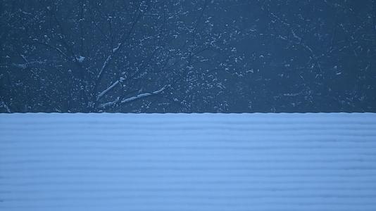 杭州西湖风景区净慈寺纯白雪景禅院风景视频视频的预览图