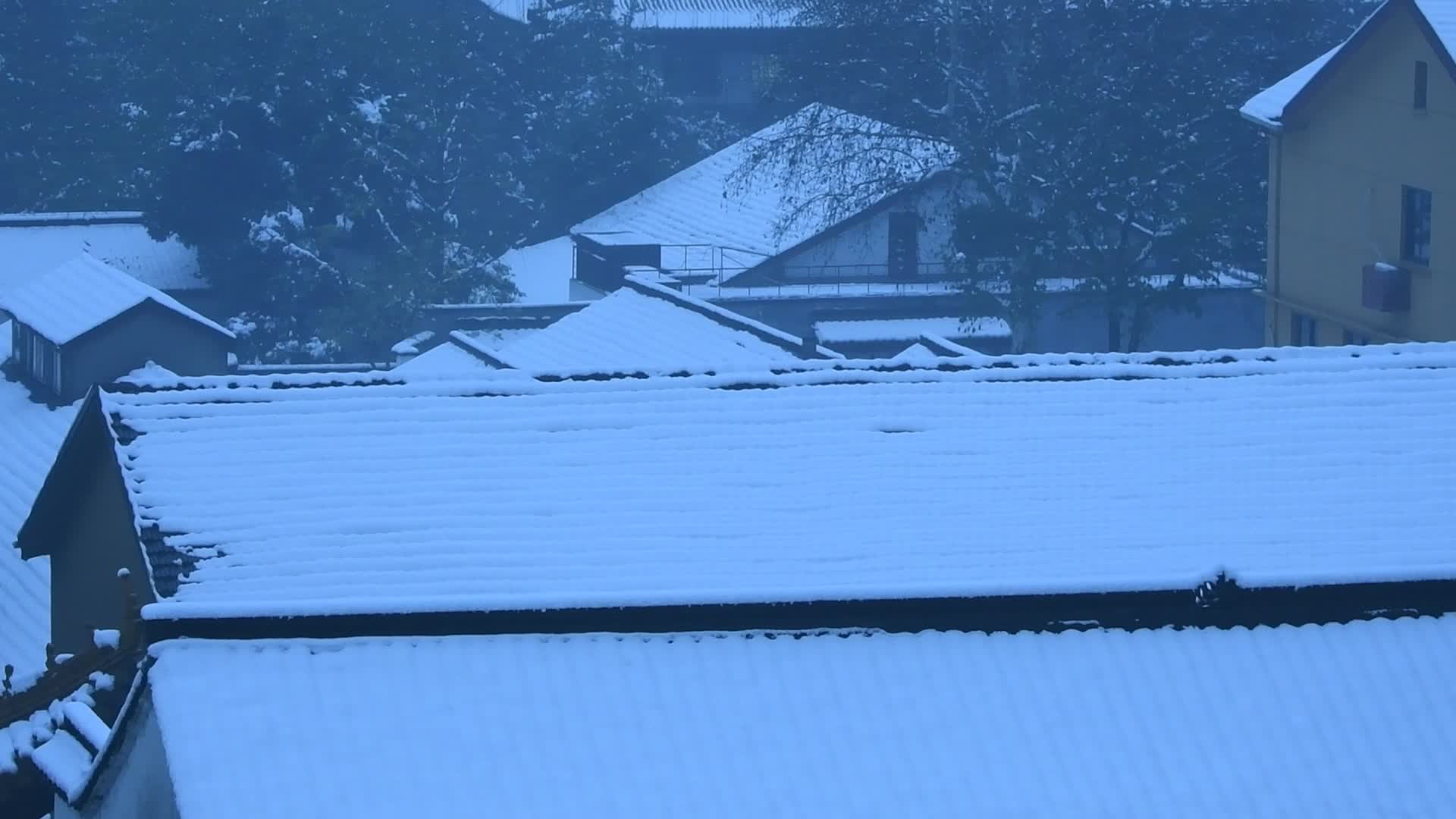 杭州西湖风景区雪景净慈寺禅院风景视频视频的预览图