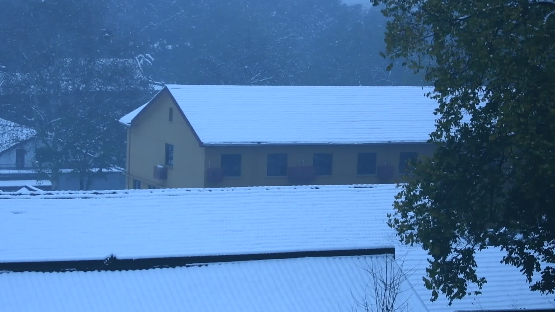 杭州西湖风景区雪景净慈寺禅院风景视频视频的预览图