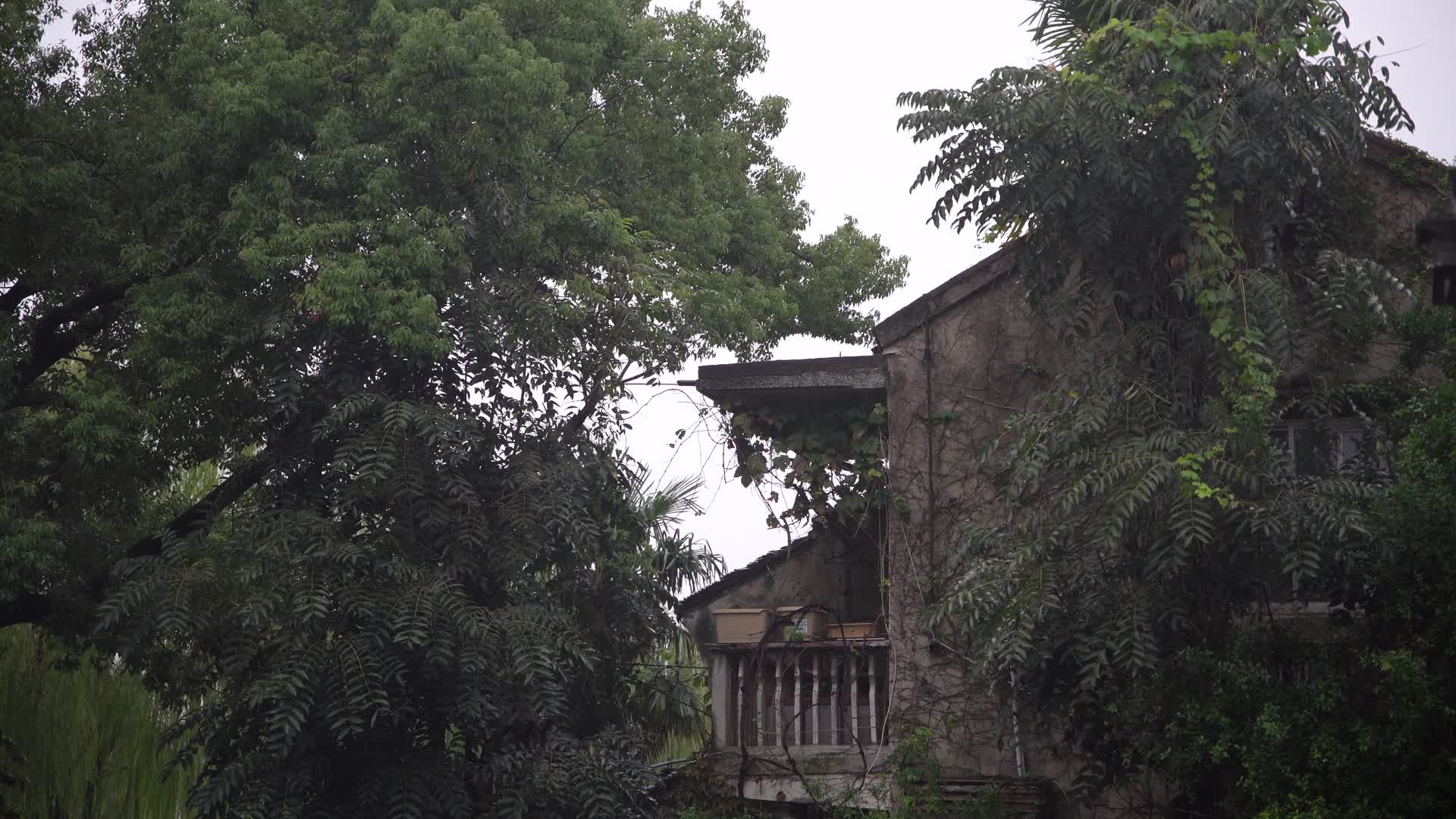 湖州南浔古镇江南水乡4K阳台一景视频视频的预览图