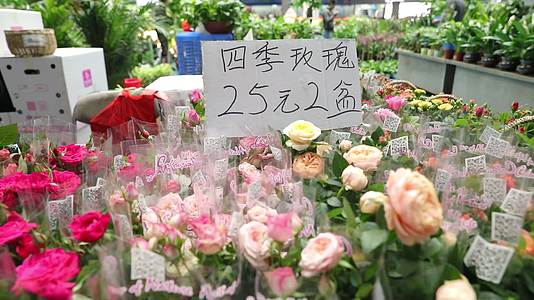 4K云南鲜花市场实拍视频视频的预览图
