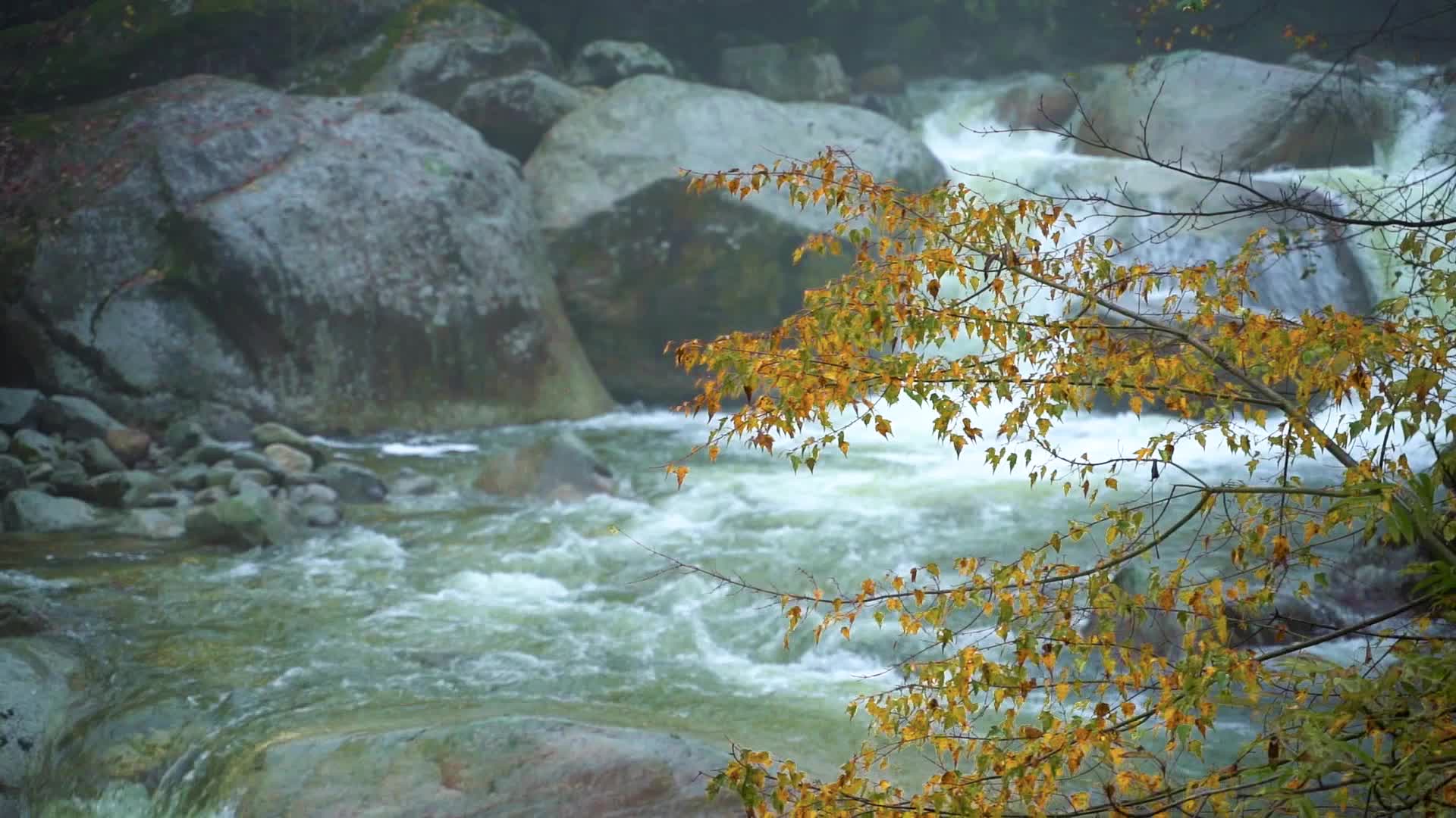 太白县青峰峡中国风秋景水流慢镜头视频视频的预览图