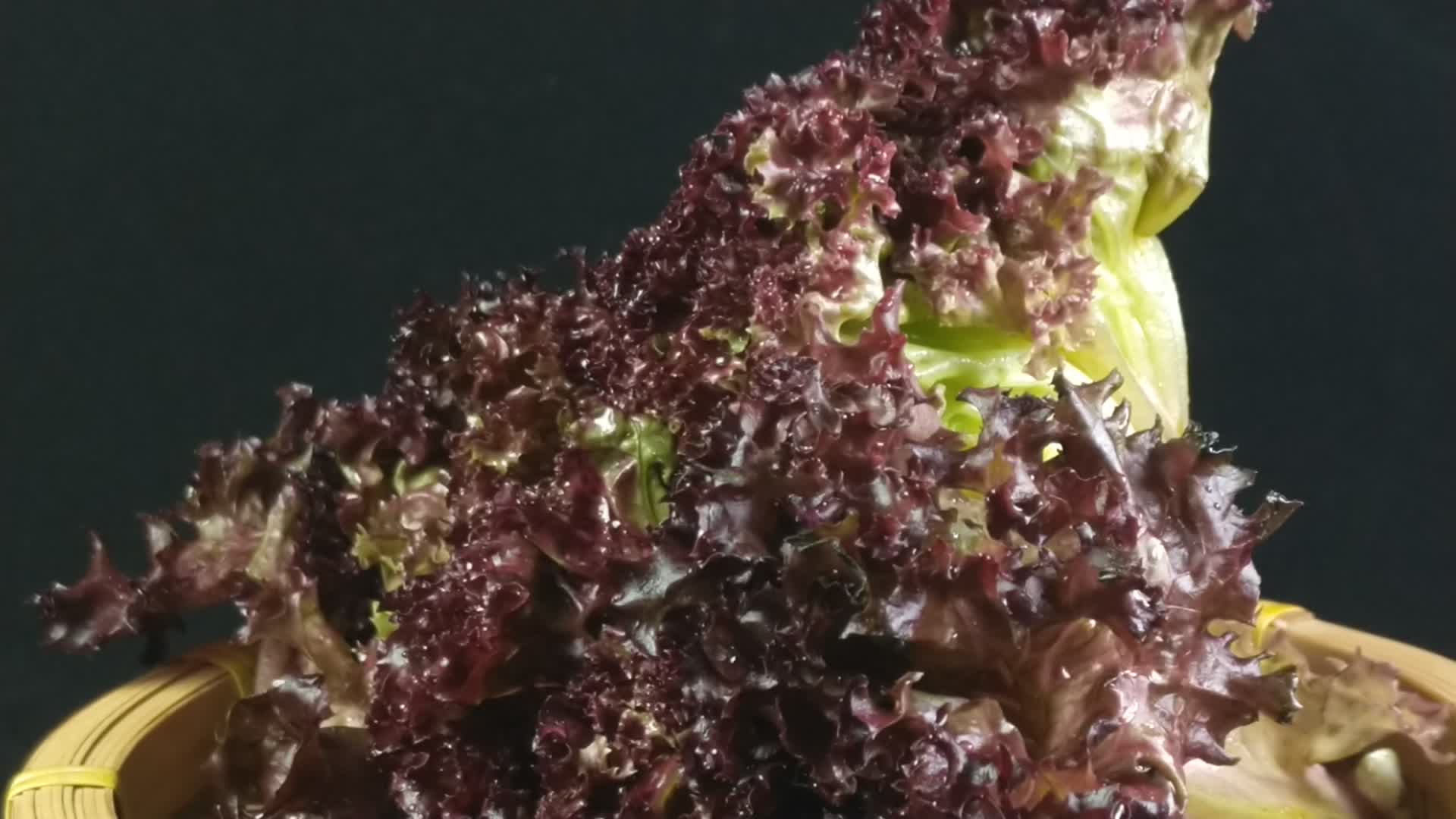蔬菜食物红珊瑚生菜4K实拍视频视频的预览图