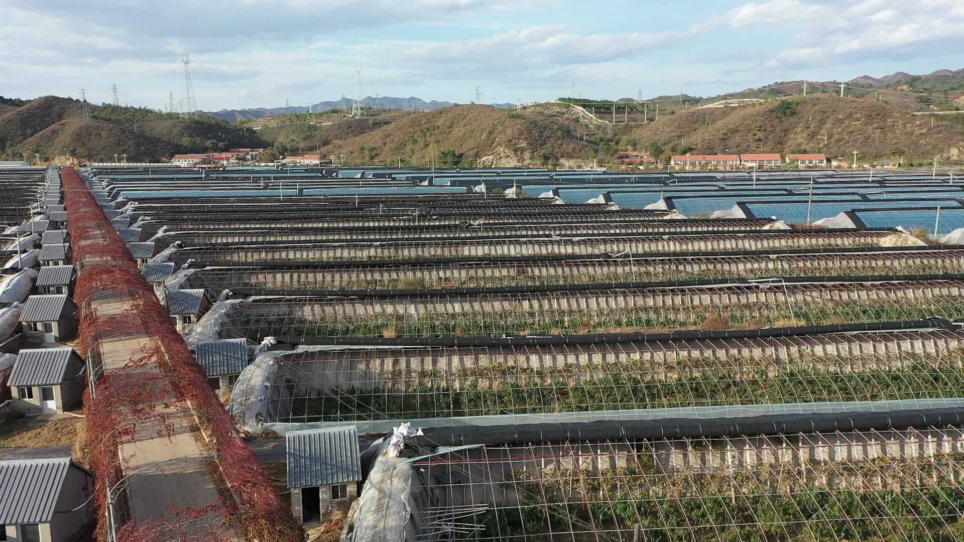 航拍农业大棚产业园区视频的预览图