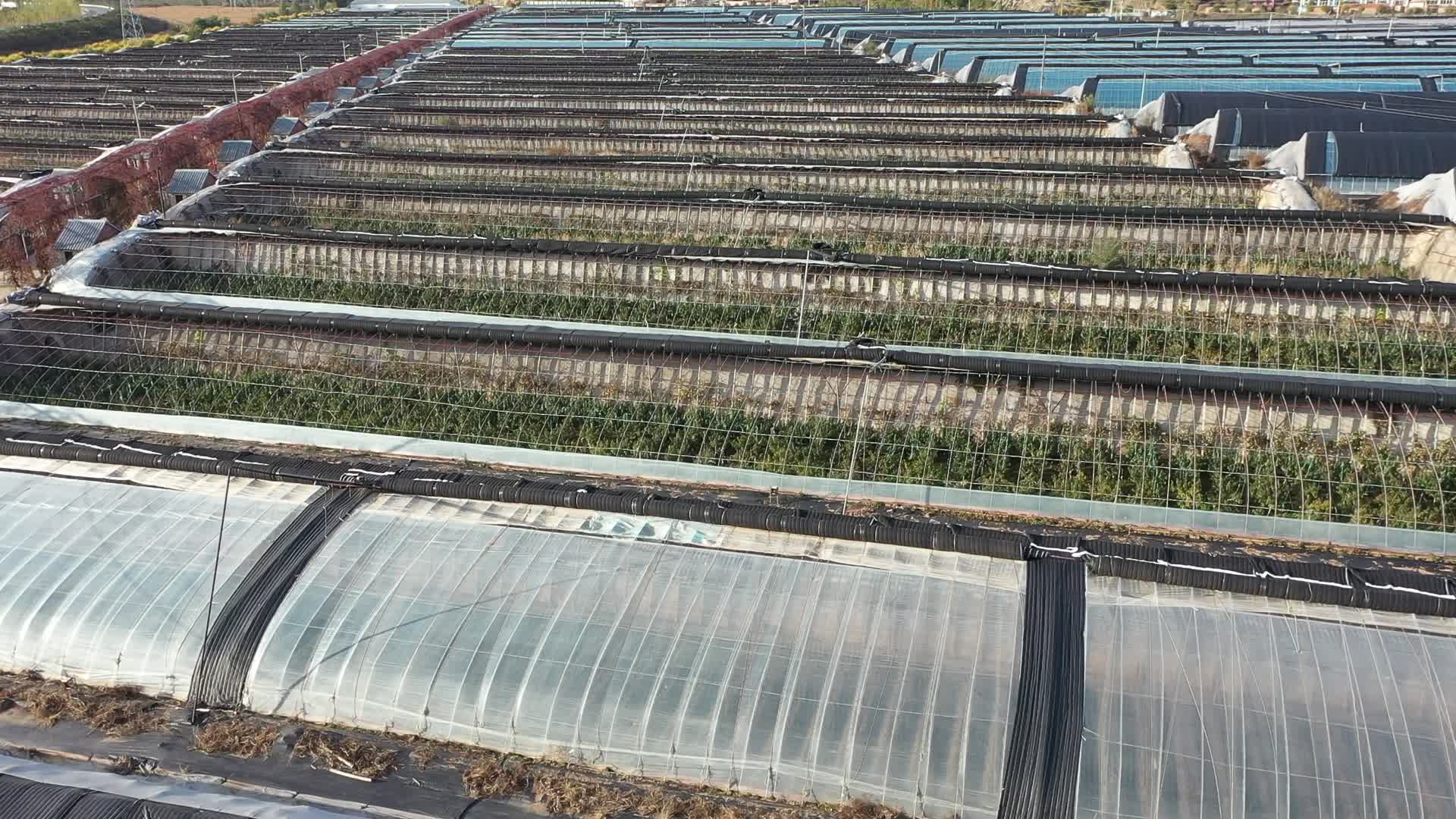 航拍农业大棚产业园区视频的预览图
