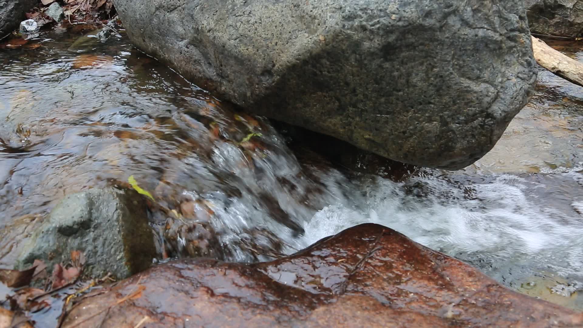 森林小溪泉水潺潺视频的预览图