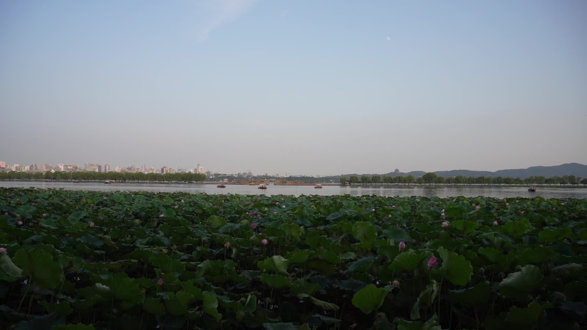 杭州西湖风景区风景视频视频的预览图