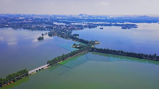 武汉东湖自然景区风光航拍视频的预览图